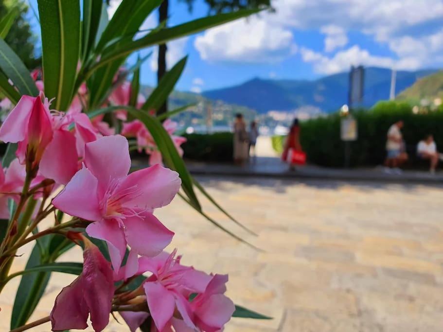 Plaza Deluxe Modern Center House - View Como Lake - Top Privacy Ngoại thất bức ảnh